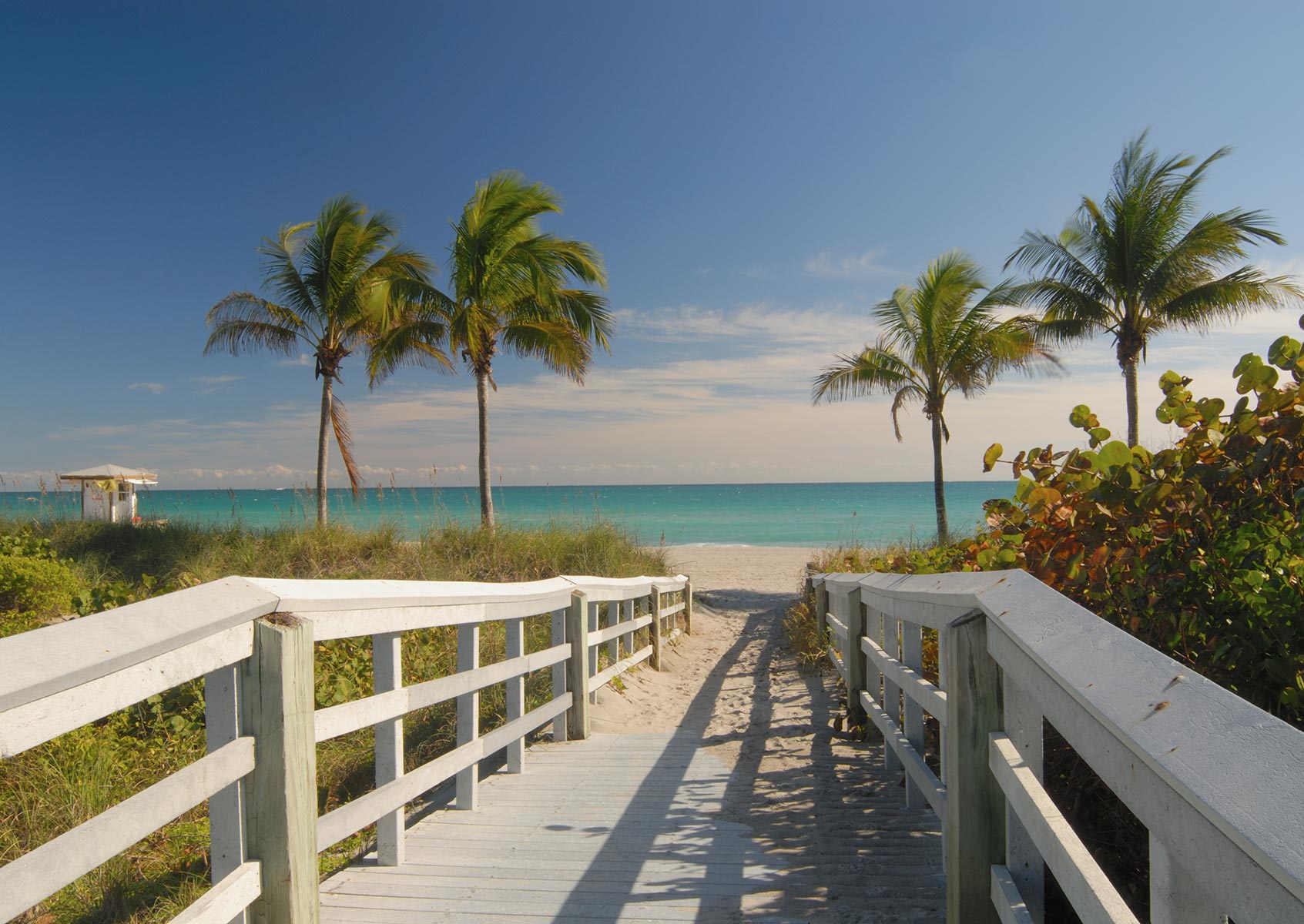 florida wedding photographers insurance