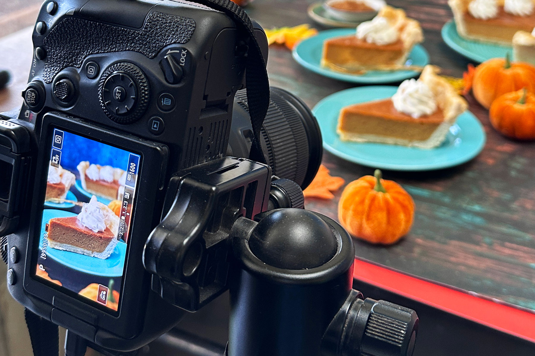 food photographer business insurance